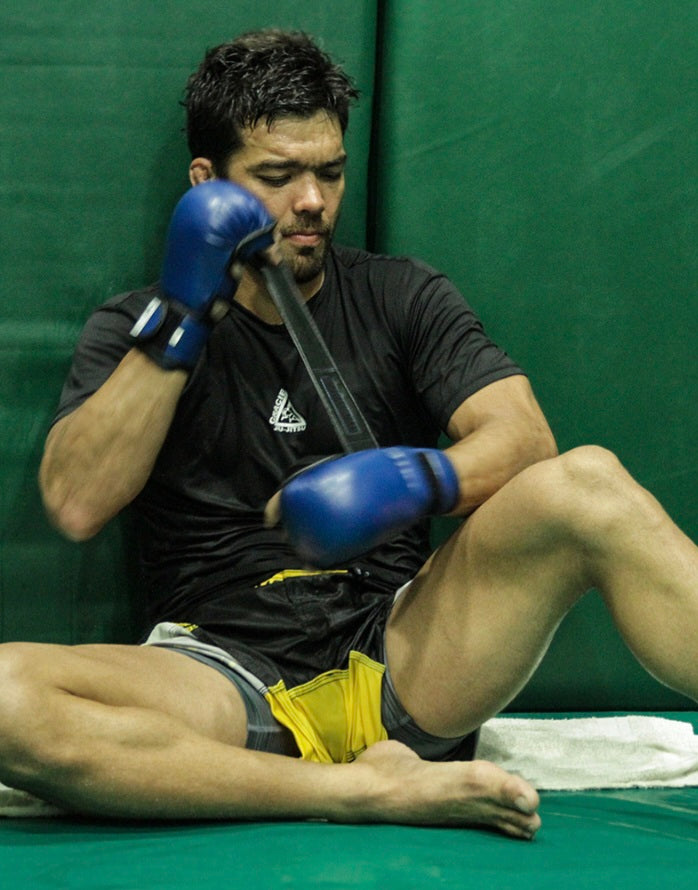 Gracie Triangle 5.5oz Sparring Gloves