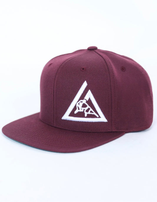 Embroided Snapback Cap